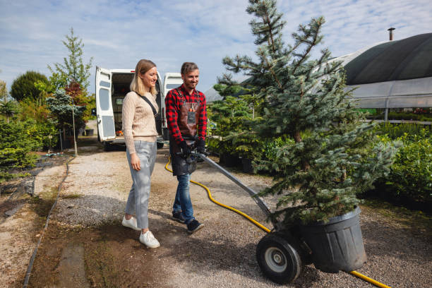 Tree and Shrub Care in Avonia, PA